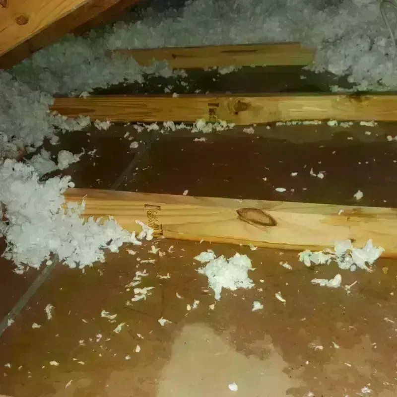 Attic Water Damage in Quail Valley, CA